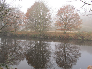 Autumn misty morning walk amongst Dixy woods/Calderdale collection
