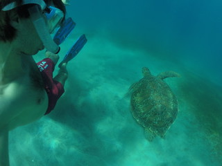 free diving with a turtle