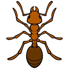 Ant

