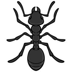 Black Ant