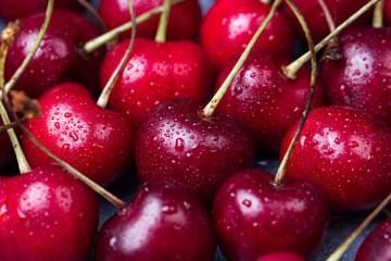 red cherry background