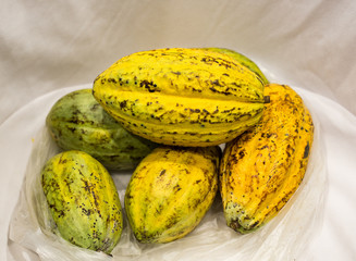 Cocoa powder