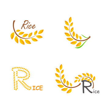 Set of logos rice.