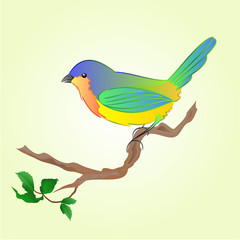 Bird on branch Spring background vector illustration