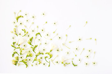 Pattern  of spring flower on white background.