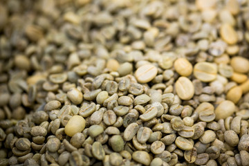 green coffee beans