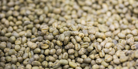 green coffee beans