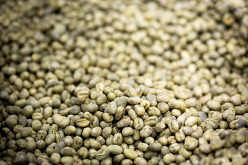green coffee beans