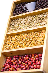 coffee beans showing various stages of roasting from raw through to Italian roast