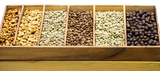 coffee beans showing various stages of roasting from raw through to Italian roast