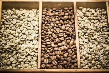 coffee beans showing various stages of roasting from raw through to Italian roast