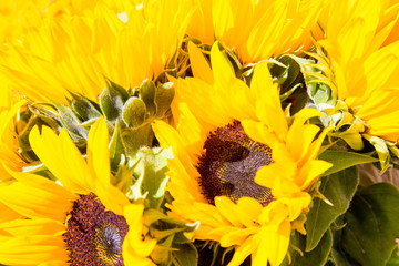 Close-up of bouquet of sunflowers