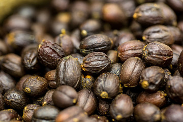 dried berries coffee beans