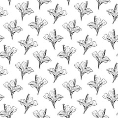 Monochrome hibiscus flower plant line art seamless pattern vector