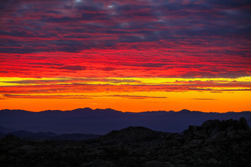 Dawn in the desert of Joshua Tree California
