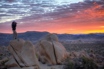 Dawn in the desert of Joshua Tree California