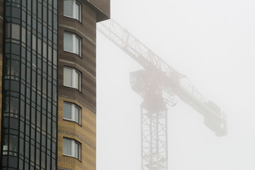 Fototapeta premium the crane in the fog
