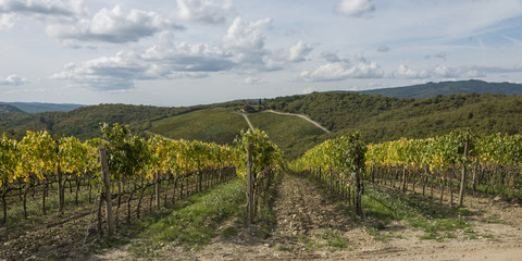 Fototapeta premium Tuscany