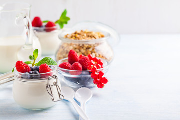 Yoghurt with muesli, raspberry, blueberry and mint in glassware on a blue background