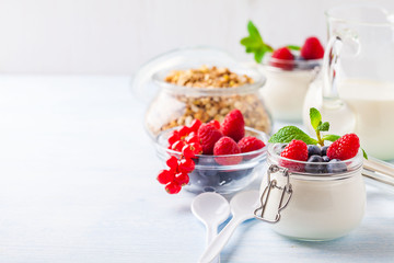 Yoghurt with muesli, raspberry, blueberry and mint in glassware on a blue background