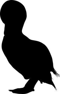 recommend clip art: Silhouette of a duckling, standing - digitally hand drawn vector illustration