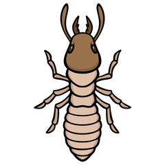 Obraz premium Termite