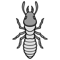 Termite Illustration