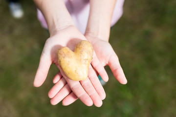 Mädchen hält Kartoffel in Herzform in der Hand