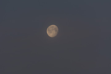 Mond am Morgen - Vollmond