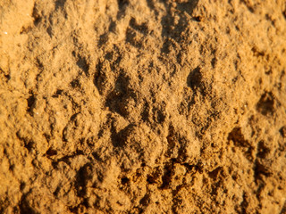 Gravel wall in sunset light texture