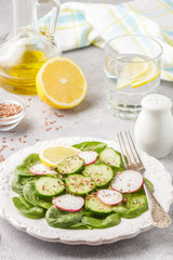 Dietary organic spring salad with spinach, radish, cucumber and flax seed. A vegetarian dish
