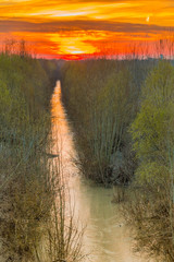 winter sunset in northern hemisphere