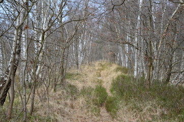 Edewecht