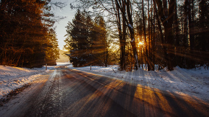 Sonne scheint durch die B&auml;ume