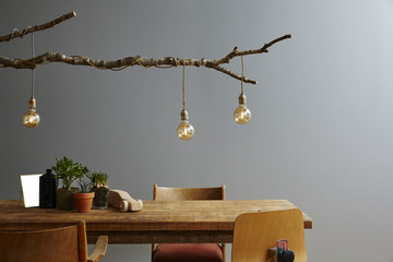modern interior wooden furniture and design lamp branch and bulbs