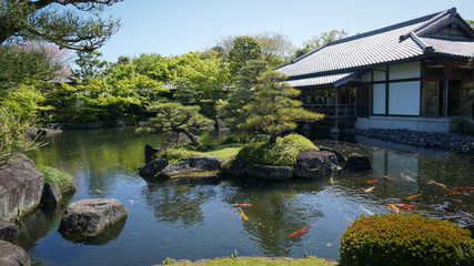 Fototapeta premium Typical Japanese garden