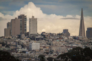 Fototapeta premium San Francisco skyline