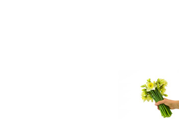 Obraz premium A bunch of narcissuses in a hand