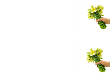 Obraz premium A bunch of narcissuses in a hand