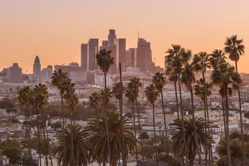 Cercles muraux Los Angeles Beau coucher de soleil sur les toits du centre-ville de Los Angeles et palmiers en premier plan
