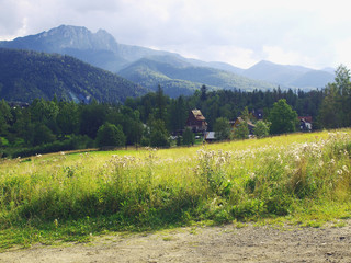 View on Polish Tatra Mountains in summer with trees and rural surroundings