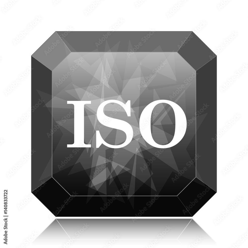 Canvas Prints iso icon