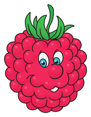 Fresh raspberry cartoon