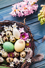 Nest with easter eggs on a blue wooden background