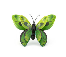 Beautiful green butterfly on a white background