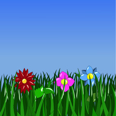 Fototapeta na wymiar green grass and flowers on a blue background