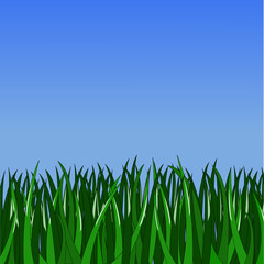 simple green grass on gradient blue background
