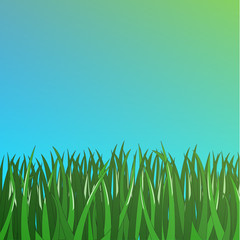 green grass on  blue background