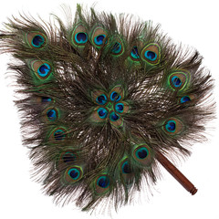 Obraz premium A fan of peacock feathers