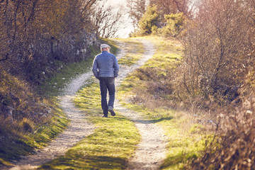 Fototapeta premium Frühling Spazieren